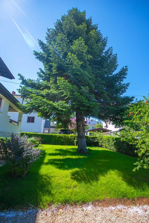 Apartment Pinia Poreč Eksteriør billede